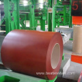 Color Coated Stainless Steel in Coil for Kitchenware